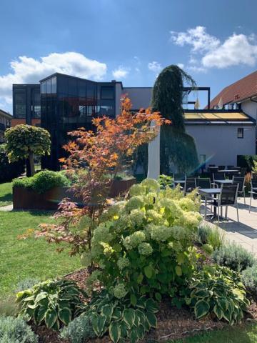 Hotel Garni Colora 바트래드커스스부르크 외부 사진